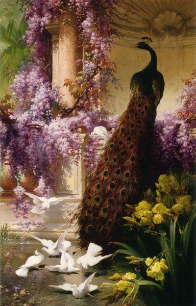 Eugene Bidau A Peacock and Doves in a Garden oil painting picture